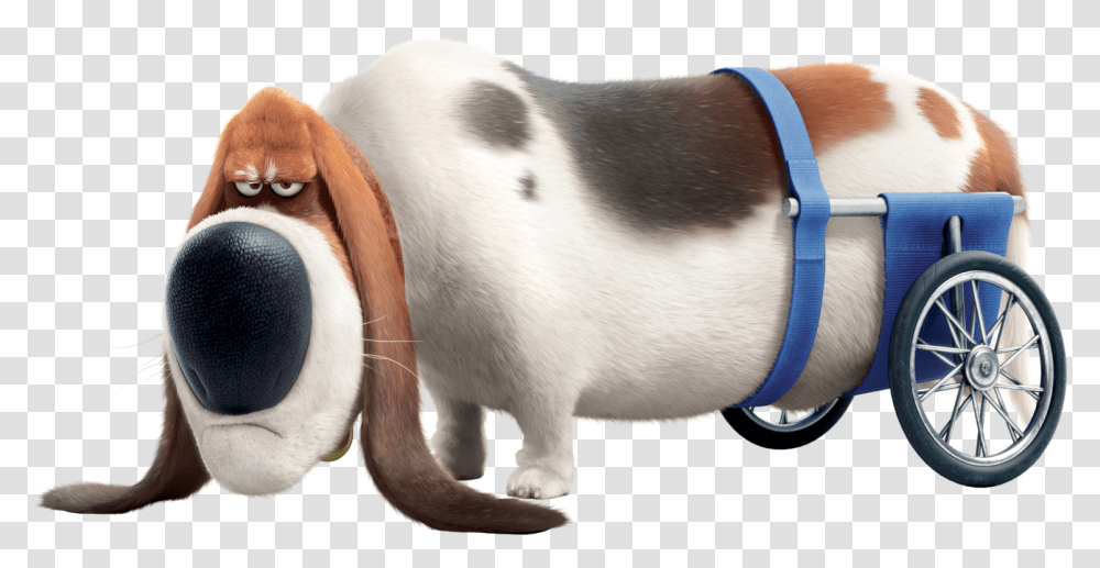 List Of Secret Life Of Pets Characters, Animal, Mammal, Dog, Canine Transparent Png
