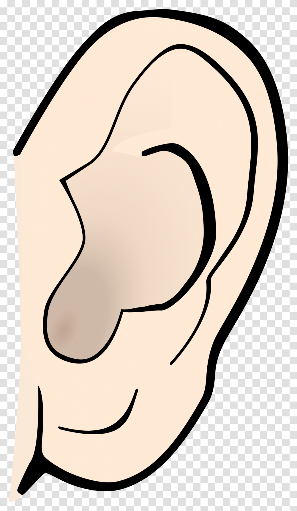 Listening Ear Clip Art, Label, Arm, Hand Transparent Png