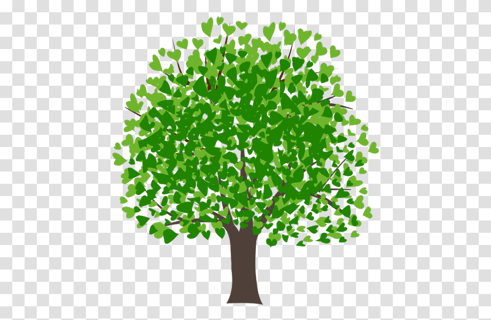 Listvennoe Derevo Zelenoe Rastenie Flora Derevo Mango Tree Images Clipart, Plant, Leaf, Green Transparent Png
