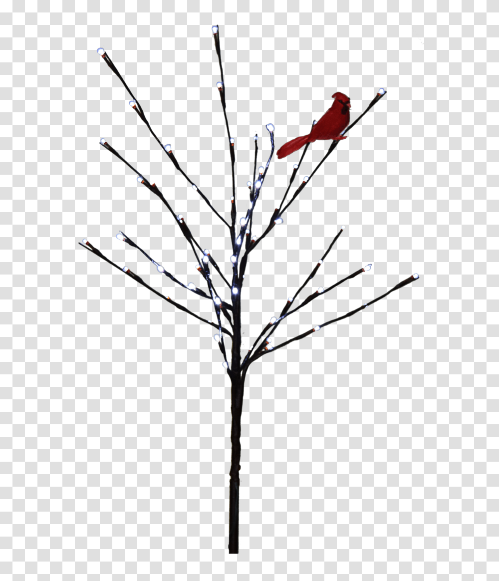 Lit Tree Stock, Bow, Plant, Crystal Transparent Png
