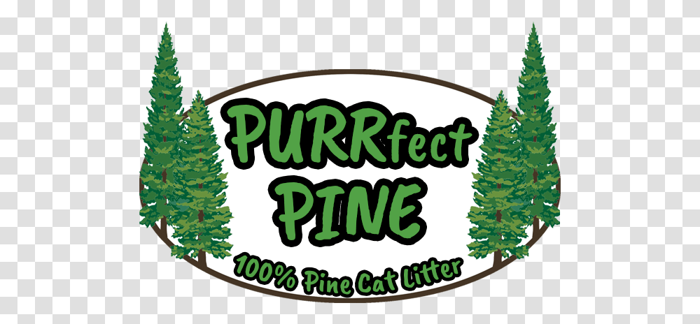 Litter Kirtland Products Christmas Tree, Label, Text, Sticker, Plant Transparent Png