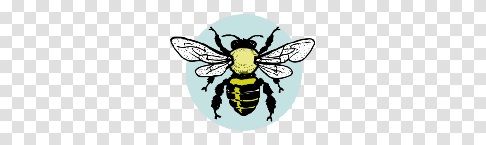 Little Bee Clip Art, Honey Bee, Insect, Invertebrate, Animal Transparent Png