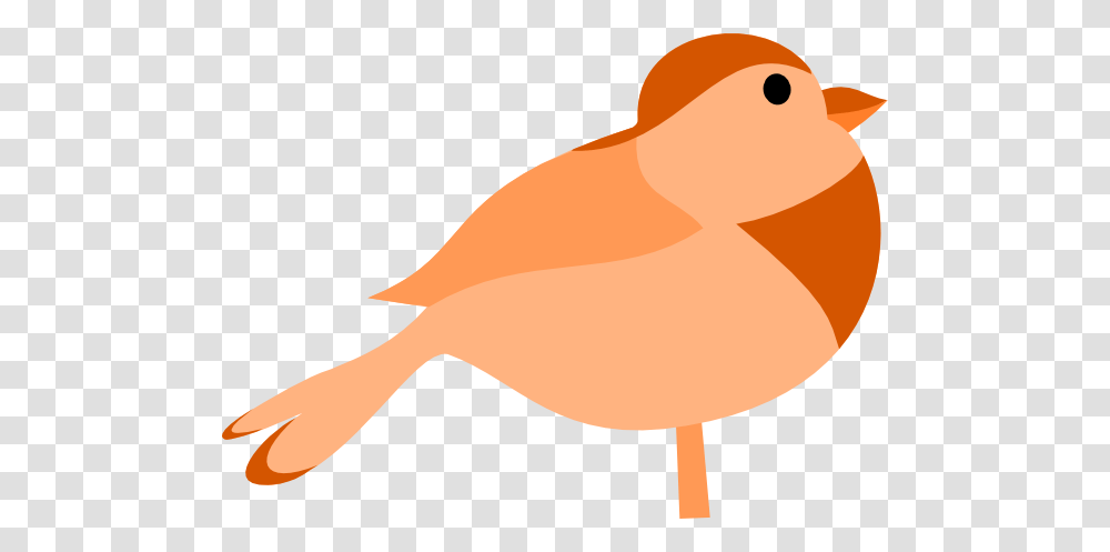 Little Bird Clip Art, Animal, Baseball Cap, Hat Transparent Png