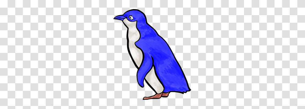Little Blue Penguin Clipart, Bluebird, Animal, Jay, Blue Jay Transparent Png