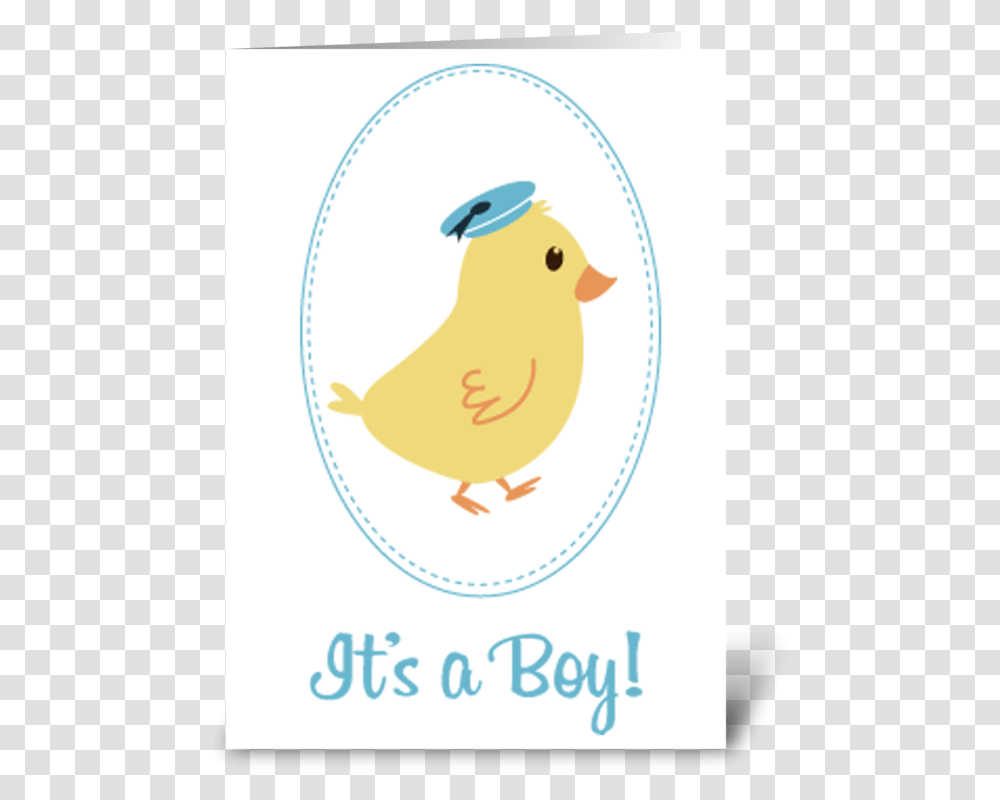 Little Boy Chick Baby Announcement Greeting Card Brundage Mountain, Bird, Animal, Canary Transparent Png