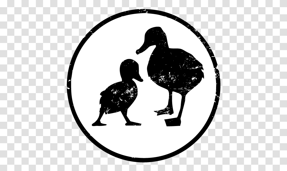 Little Duck Kitchen Odd Duck, Bird, Animal, Person, Human Transparent Png