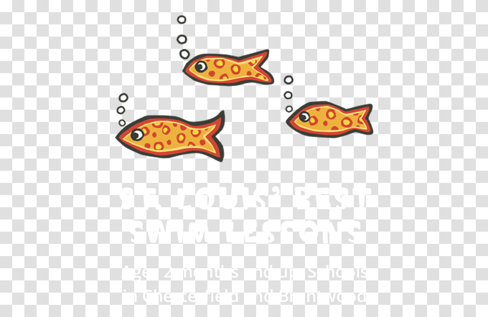 Little Fishes Swim School Is Meant To Provide Your, Label, Leisure Activities, Sticker Transparent Png