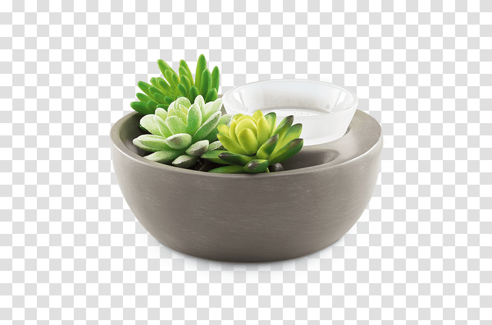 Little Garden Scentsy Warmer, Plant, Pottery, Porcelain Transparent Png