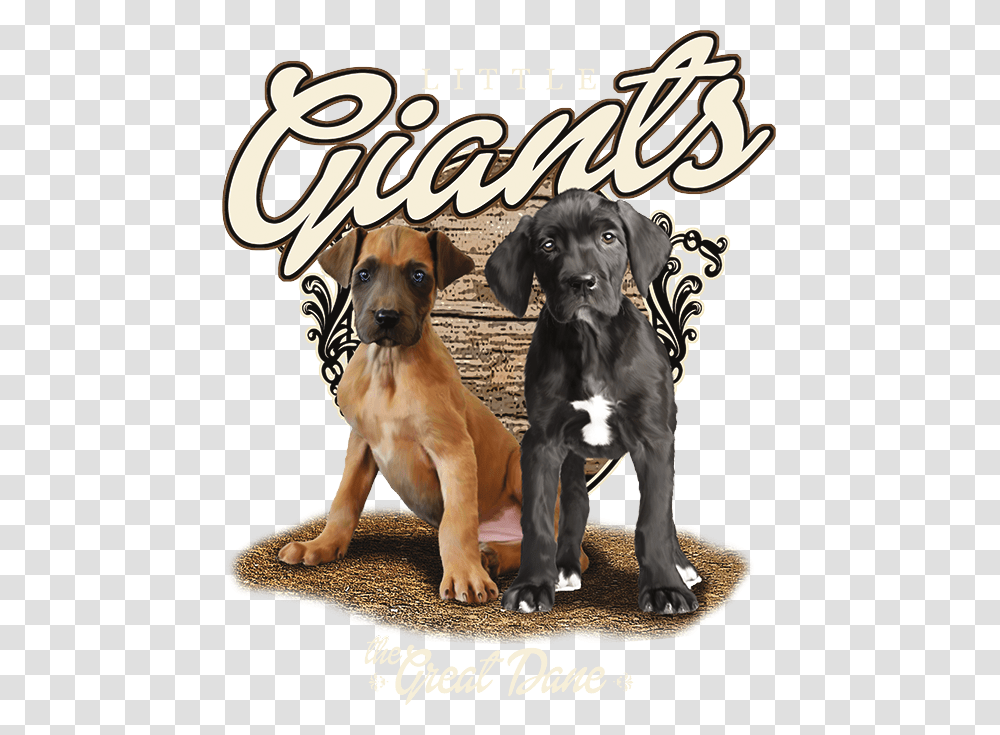 Little Giants The Great Dane The Wild Side, Dog, Pet, Canine, Animal Transparent Png
