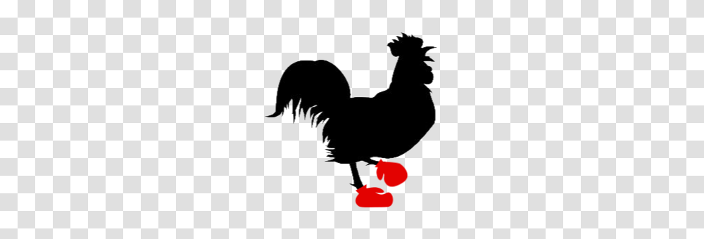 Little Jerry Ideas Video Production Ideation From Buenos Aires, Animal, Bird, Fowl, Poultry Transparent Png
