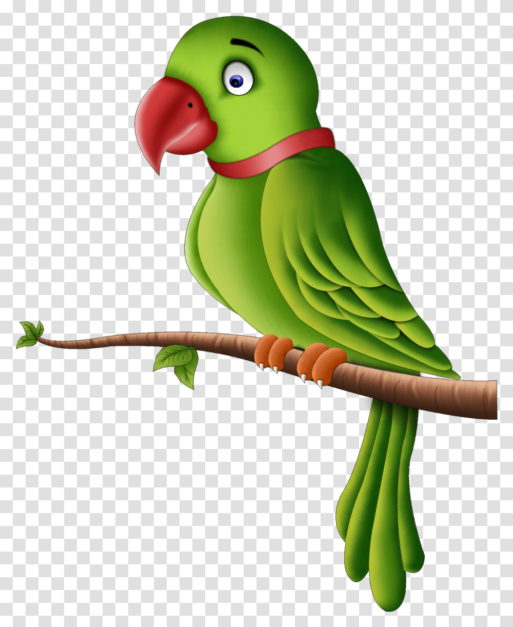 Little Known Facts About Parrots All Parrot, Parakeet, Bird, Animal, Toy Transparent Png