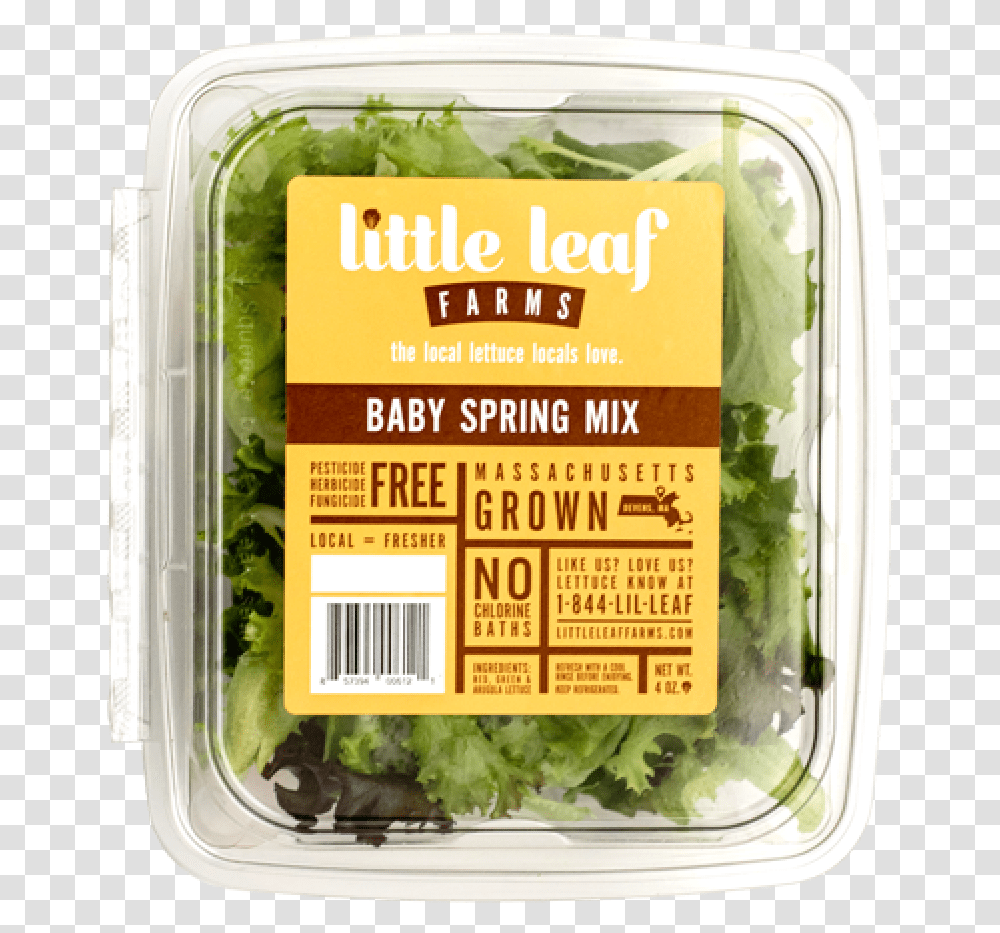 Little Leaf Farms Lettuce, Plant, Vegetable, Food, Vase Transparent Png