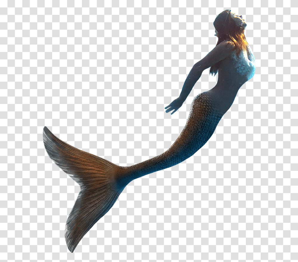 Little Mermaid Llc United Kingdom Mermaid With Background, Water, Aquatic, Bird, Animal Transparent Png