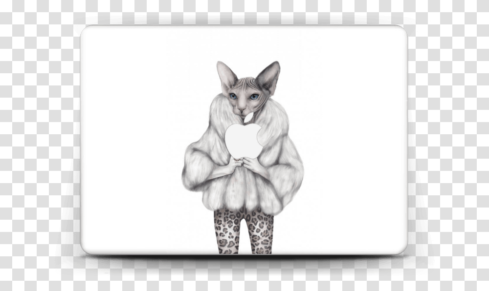 Little Miss Purr Fect Skin Macbook Air 13 Poster, Person, Human, White Board Transparent Png