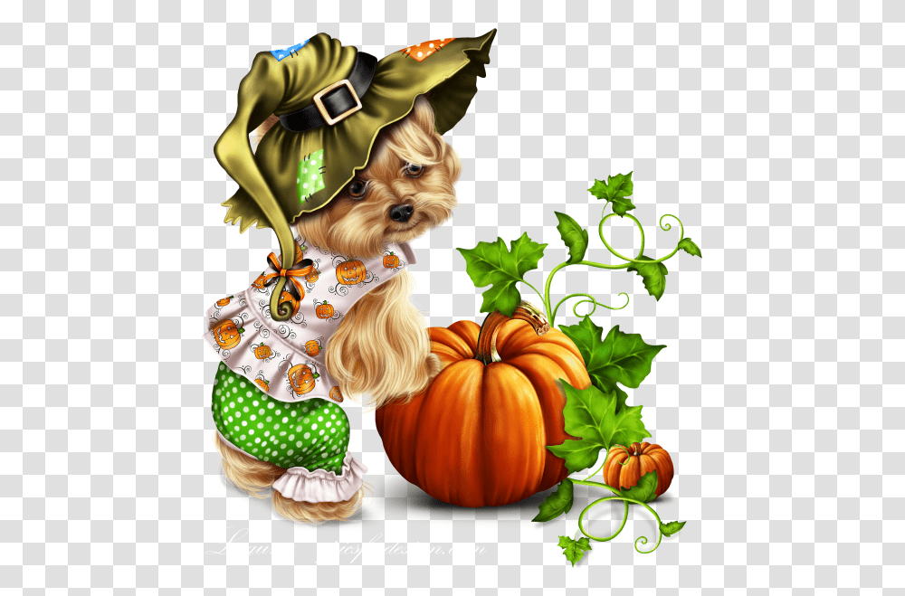 Little Pumpkin Yorkie Yorkie Thanksgiving Clipart, Plant, Vegetable, Food, Produce Transparent Png