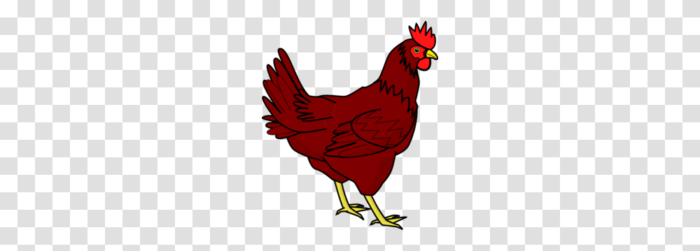 Little Red Hen Clip Art Look, Bird, Animal, Poultry, Fowl Transparent Png