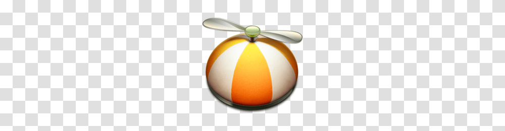 Little Snitch, Lamp, Wasp, Bee, Insect Transparent Png