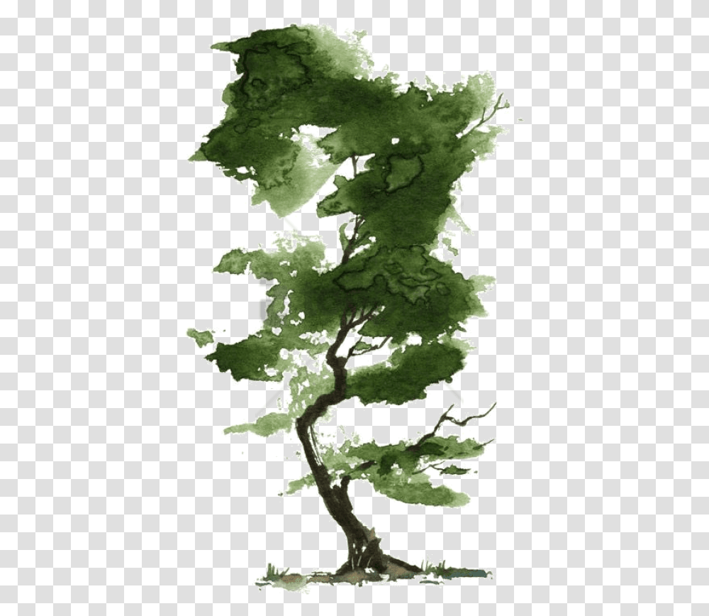 Little Watercolor Trees Watercolor Tree Background, Plant, Oak, Sycamore, Tree Trunk Transparent Png
