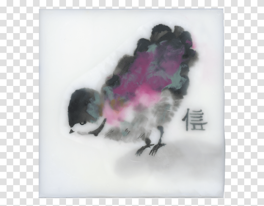 Littlebird, Nature, Outdoors, Animal Transparent Png