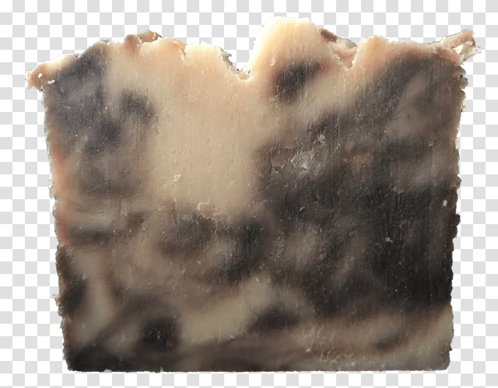 Liv With Roz Soap Watercolor Paint, Rock, Bear, Wildlife, Mammal Transparent Png