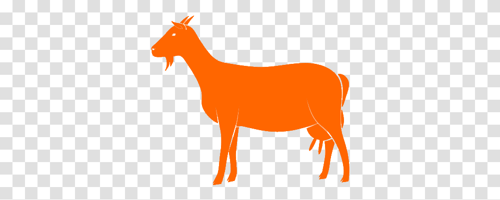 Live Animal Suppliers Sunset Feed & Supply Animal Figure, Mammal, Deer, Wildlife, Goat Transparent Png
