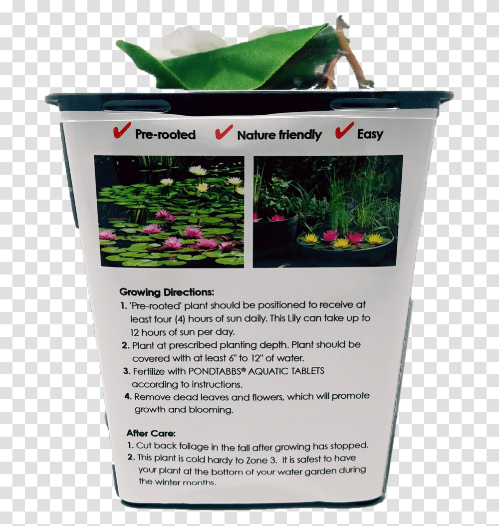 Live Aquatic Water Lily Pre Grown Prerooted Dropngrow Convenience Verbena, Poster, Advertisement, Flyer, Paper Transparent Png