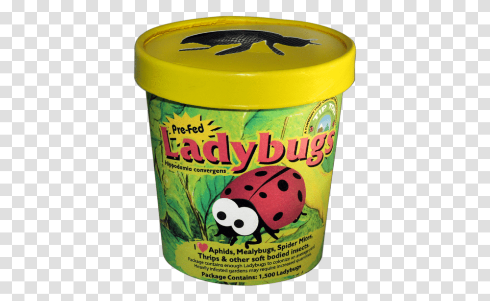 Live Ladybugs Ladybugs Container, Food, Dessert, Yogurt, Sweets Transparent Png