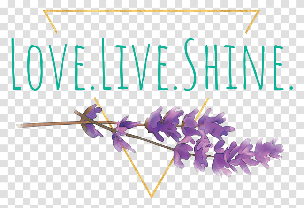Live Love Shine, Plant, Flower, Petal Transparent Png
