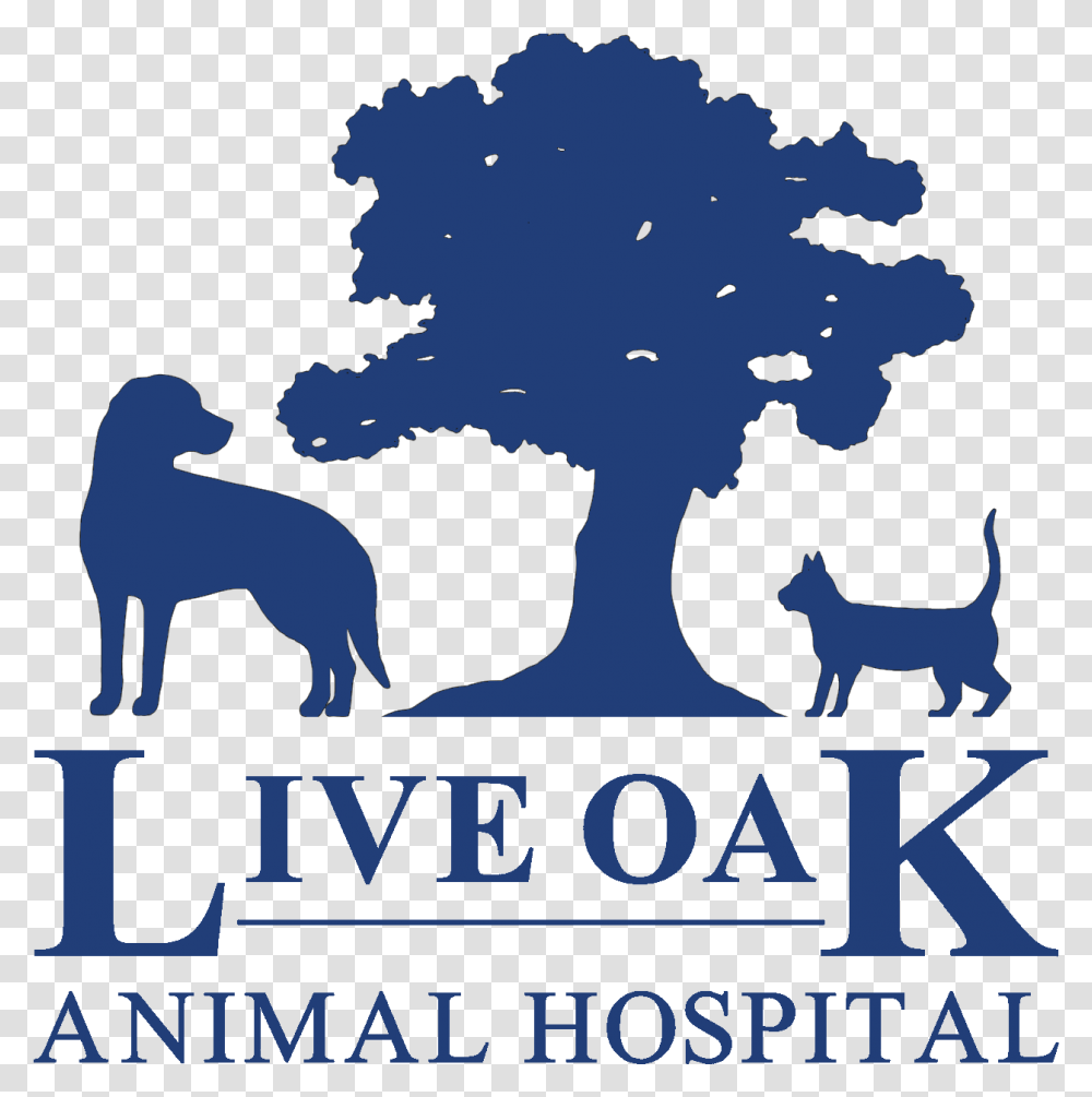 Live Oak Animal Hospital Vero Beach Veterinarians Language, Poster, Advertisement, Text, Outdoors Transparent Png