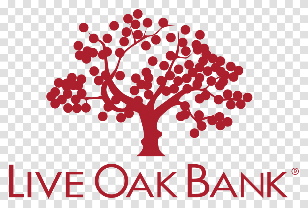Live Oak Banking, Plant, Flower, Blossom Transparent Png