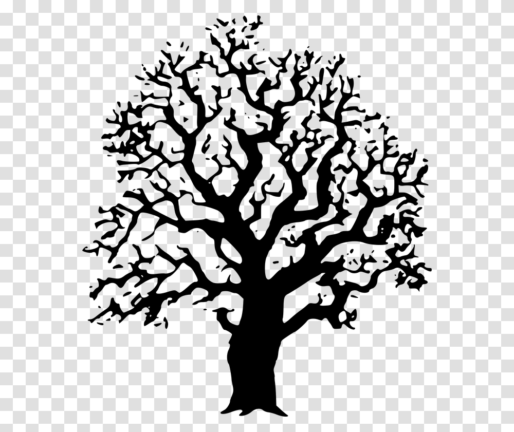 Live Oak Tree Black And White Tree Image Clipart, Plant, Tree Trunk, Silhouette, Stencil Transparent Png