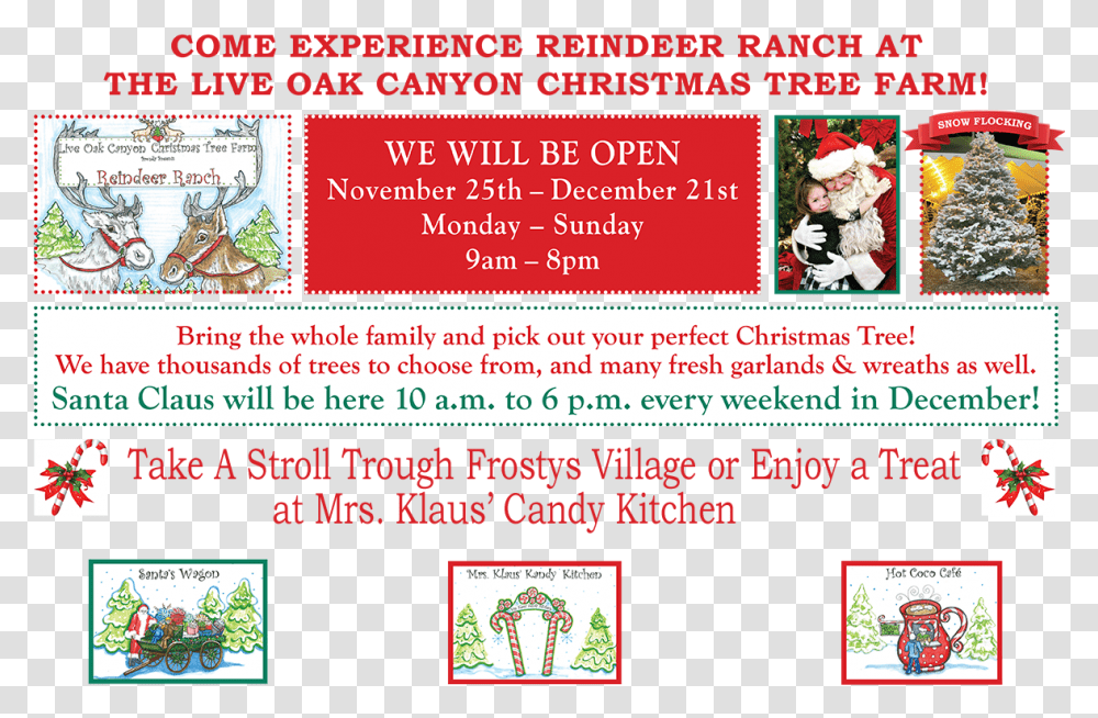 Live Oak Tree Live Oak Canyon Frosty Village, Advertisement, Poster, Flyer, Paper Transparent Png