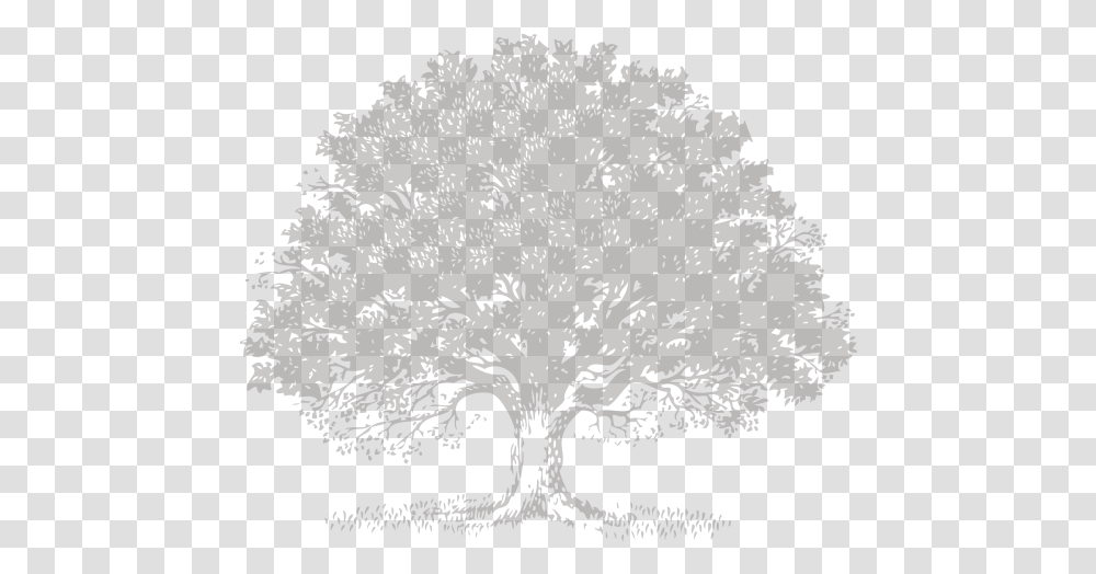 Live Oak Tree Svg Royalty Free Stock Free Svg Image Oak Tree, Plant, Stencil, Flower, Blossom Transparent Png