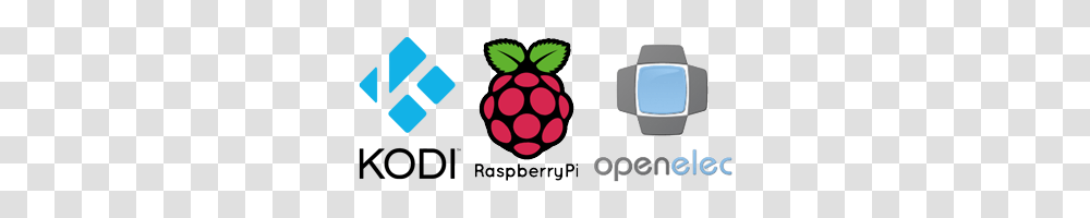 Live Tv And Recording On Kodi Raspberry Pi And Openelec, Fruit, Plant, Food, Strawberry Transparent Png