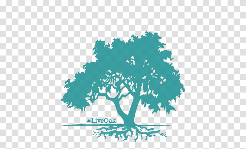 Livecycletree Oak Tree Clipart Green, Plant, Pattern, Fractal, Ornament Transparent Png