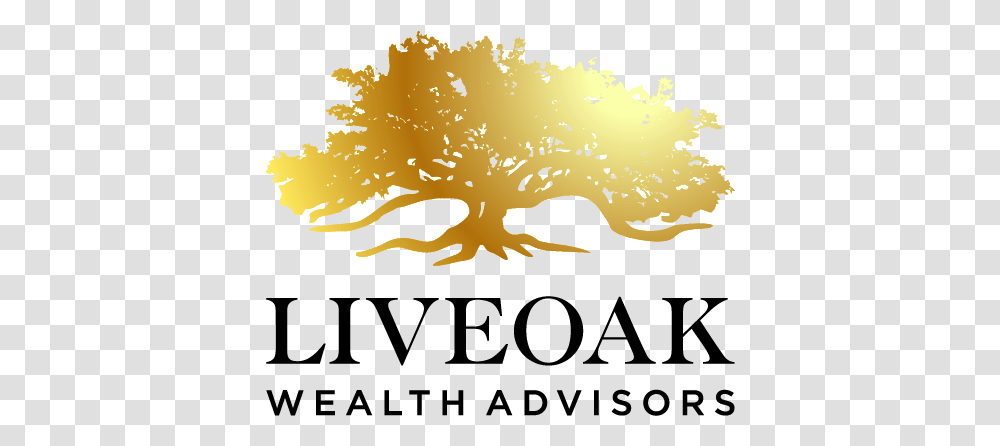 Liveoak Wealth Advisors Language, Bird, Animal, Plant, Flying Transparent Png