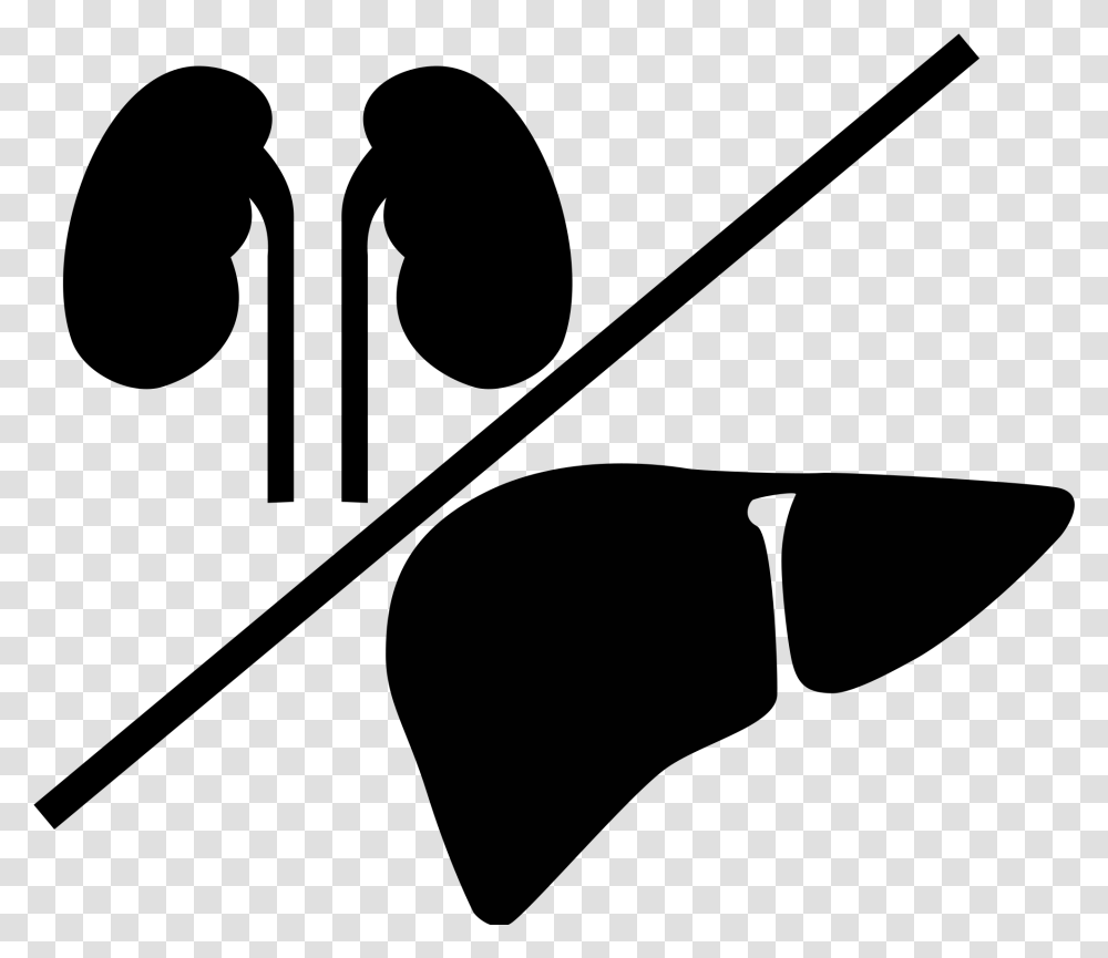 Liver And Kidney Icon Download Liver And Kidney Clip Art, Gray Transparent Png