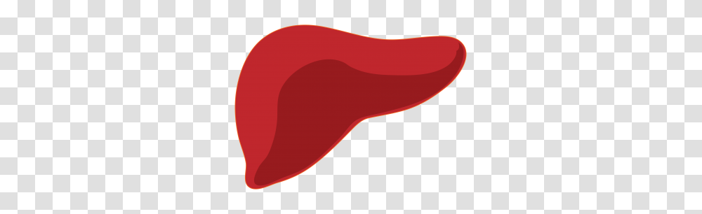 Liver Bariatric News, Mouth, Lip, Animal, Food Transparent Png