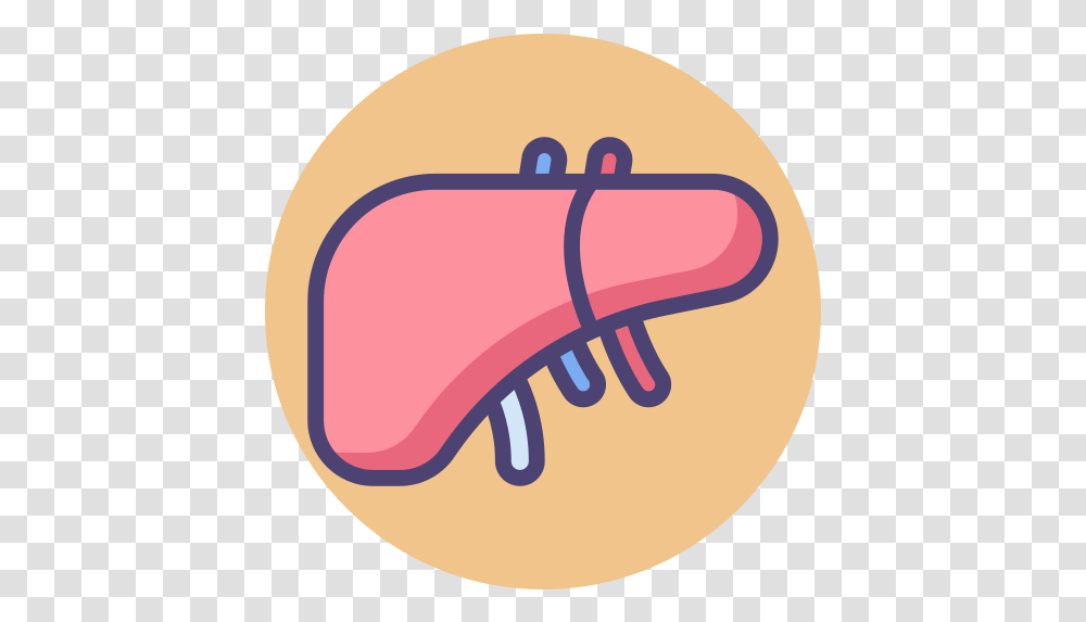 Liver Big, Hand, Text, Food, Produce Transparent Png