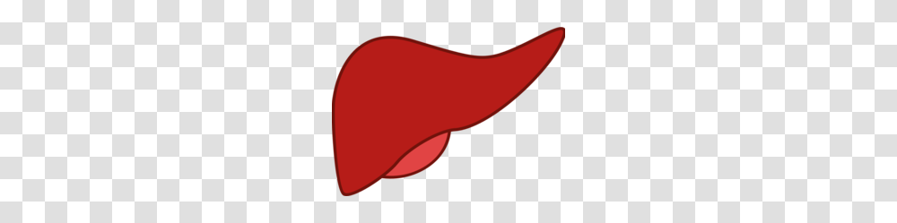 Liver Clipart, Animal, Maroon, Mammal, Sleeve Transparent Png