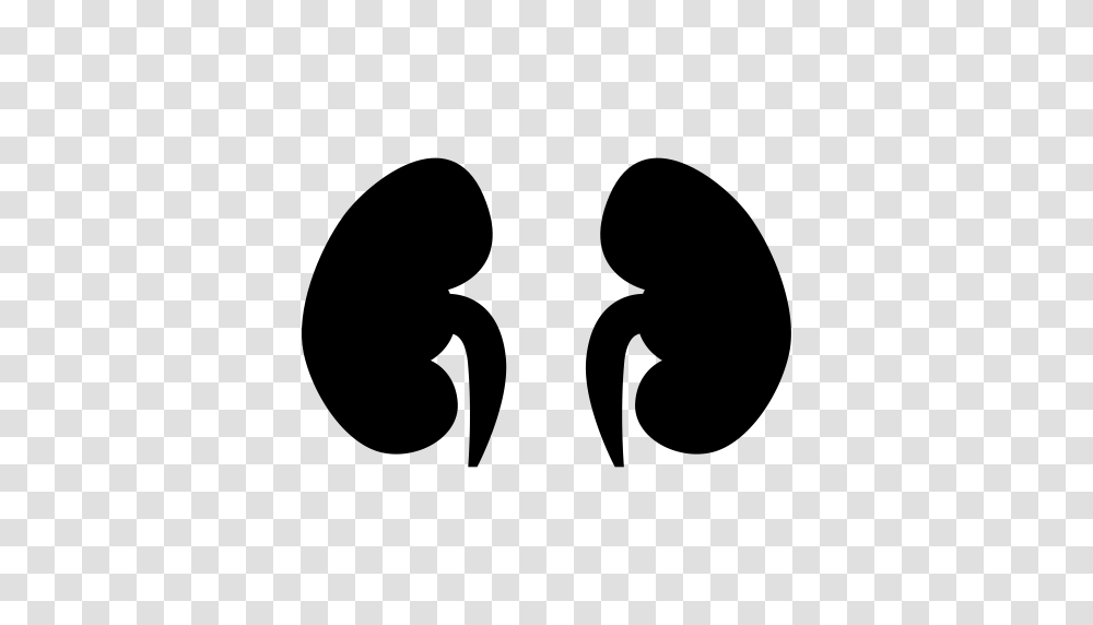 Liver Gallbladder Spleen Icon With And Vector Format, Gray, World Of Warcraft Transparent Png