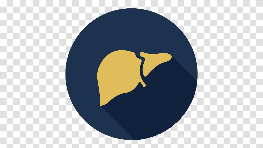 Liver Icon Illustration, Clothing, Moon, Leisure Activities, Helmet Transparent Png