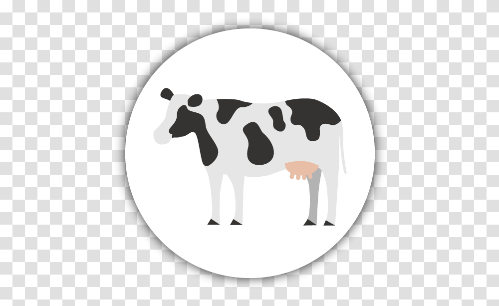 Livestock, Cow, Cattle, Mammal, Animal Transparent Png