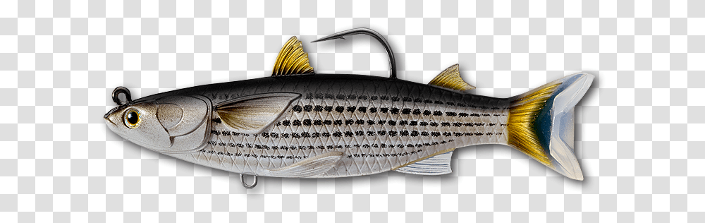 Livetarget Mullet Swimbait Fishing Lure, Tuna, Sea Life, Animal, Bonito Transparent Png