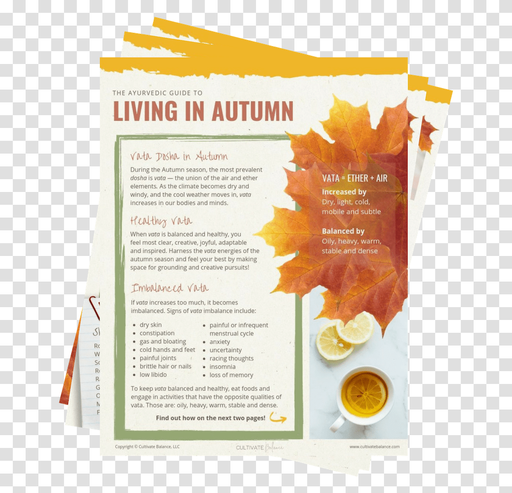 Living In Autumn Icon Caramel, Poster, Advertisement, Flyer Transparent Png