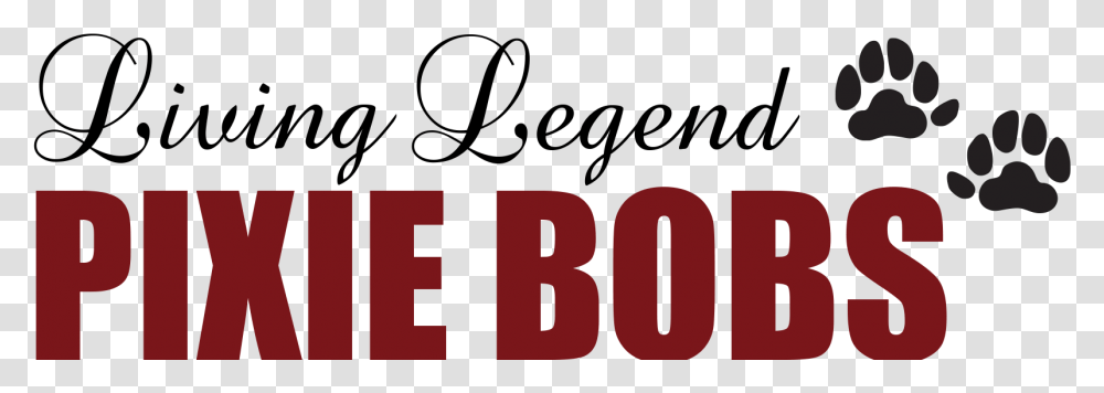 Living Legend Pixie Bobs Calligraphy, Number, Alphabet Transparent Png