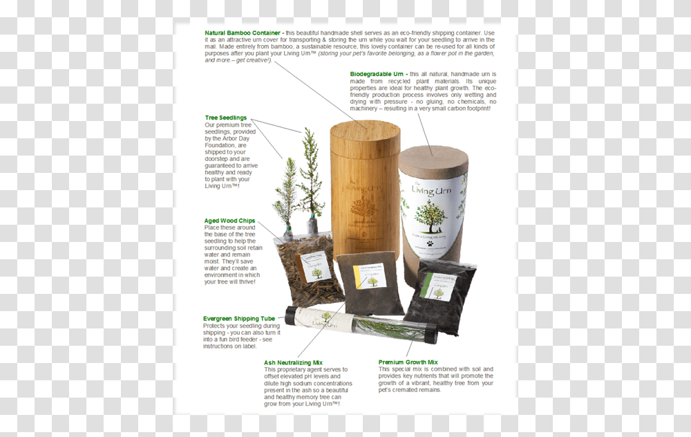 Living Urn, Potted Plant, Vase, Jar, Pottery Transparent Png
