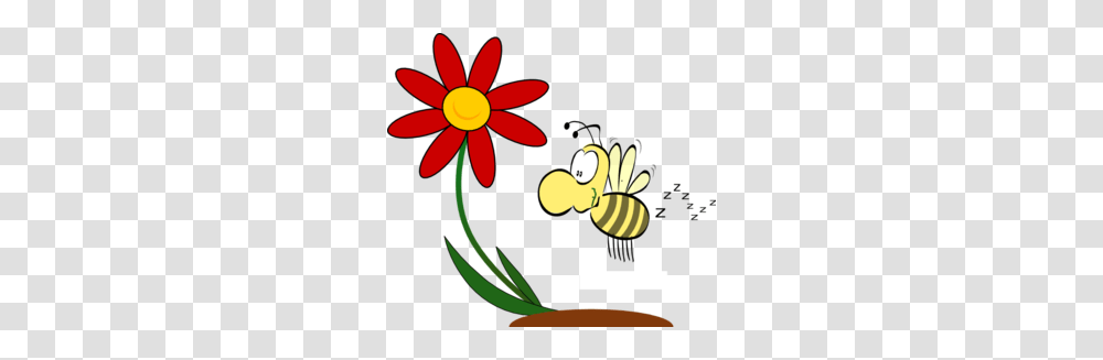 Liz Clip Art, Plant, Invertebrate, Animal Transparent Png