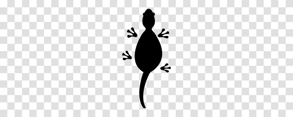 Lizard Nature, Gray, World Of Warcraft Transparent Png