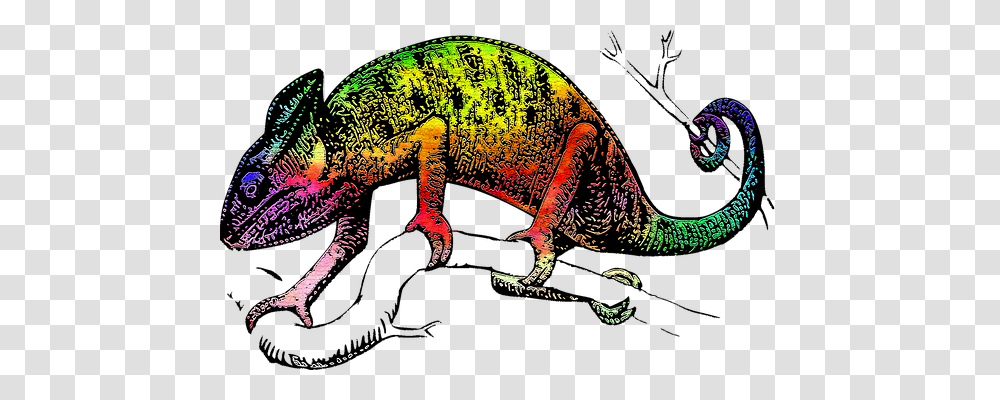 Lizard Nature, Reptile, Animal, Iguana Transparent Png